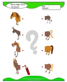 Resmi Diğer Yarısı ile Eşleştir Çalışma Sayfaları